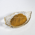 Green Tea Extract Powder